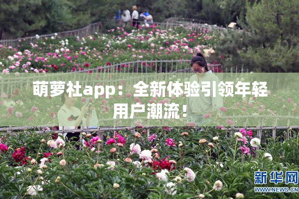 萌萝社app：全新体验引领年轻用户潮流！