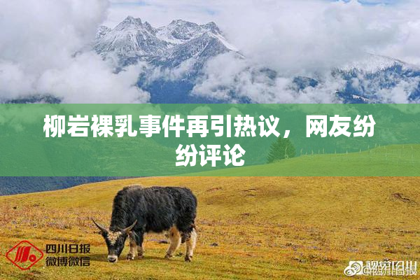 柳岩裸乳事件再引热议，网友纷纷评论