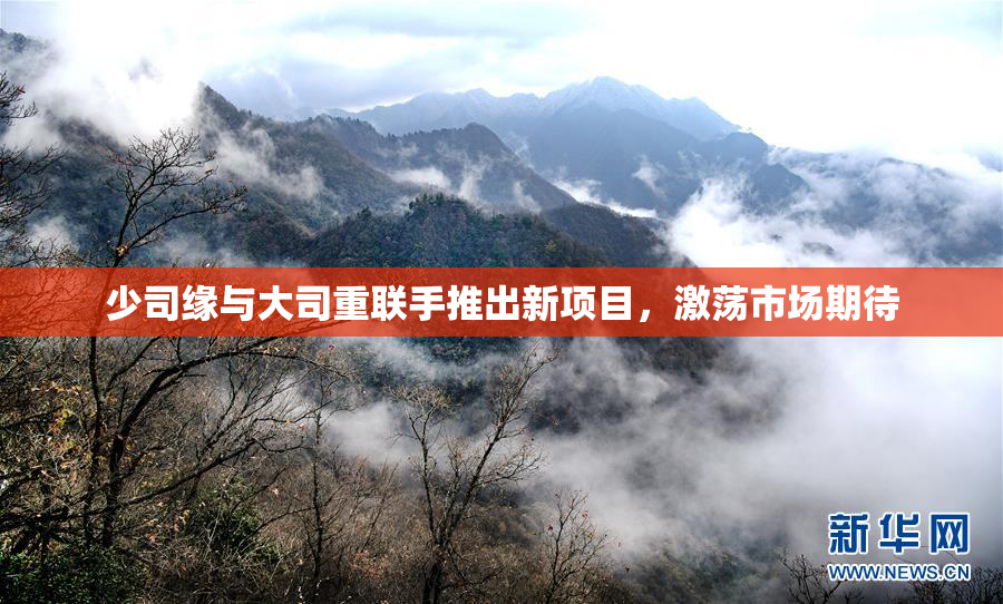 少司缘与大司重联手推出新项目，激荡市场期待