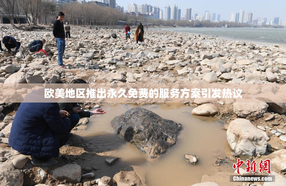 欧美地区推出永久免费的服务方案引发热议