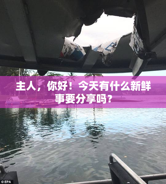 主人，你好！今天有什么新鲜事要分享吗？