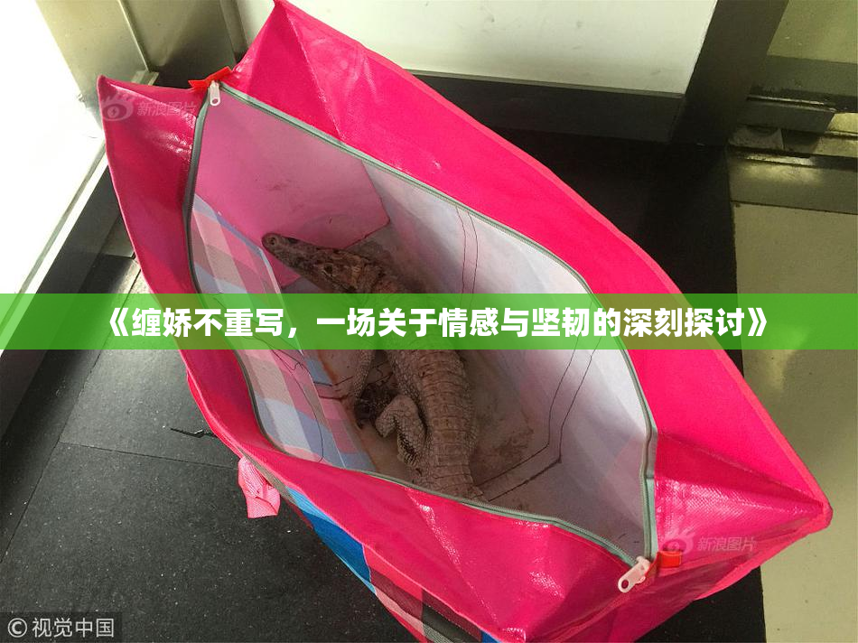 《缠娇不重写，一场关于情感与坚韧的深刻探讨》