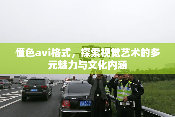 懂色avi格式，探索视觉艺术的多元魅力与文化内涵