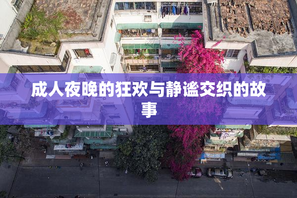 成人夜晚的狂欢与静谧交织的故事