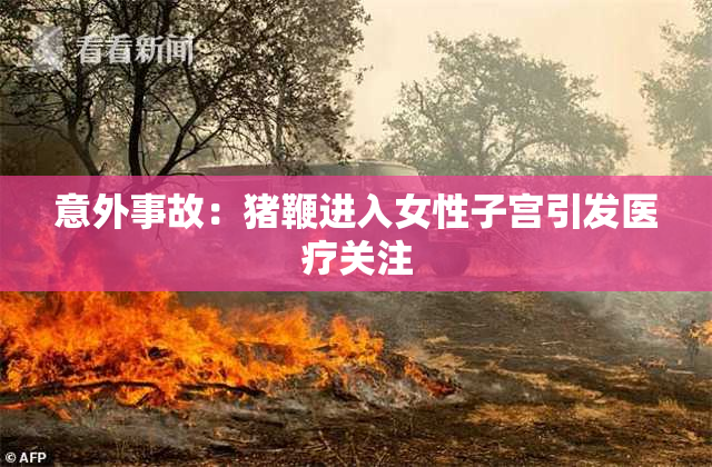 意外事故：猪鞭进入女性子宫引发医疗关注