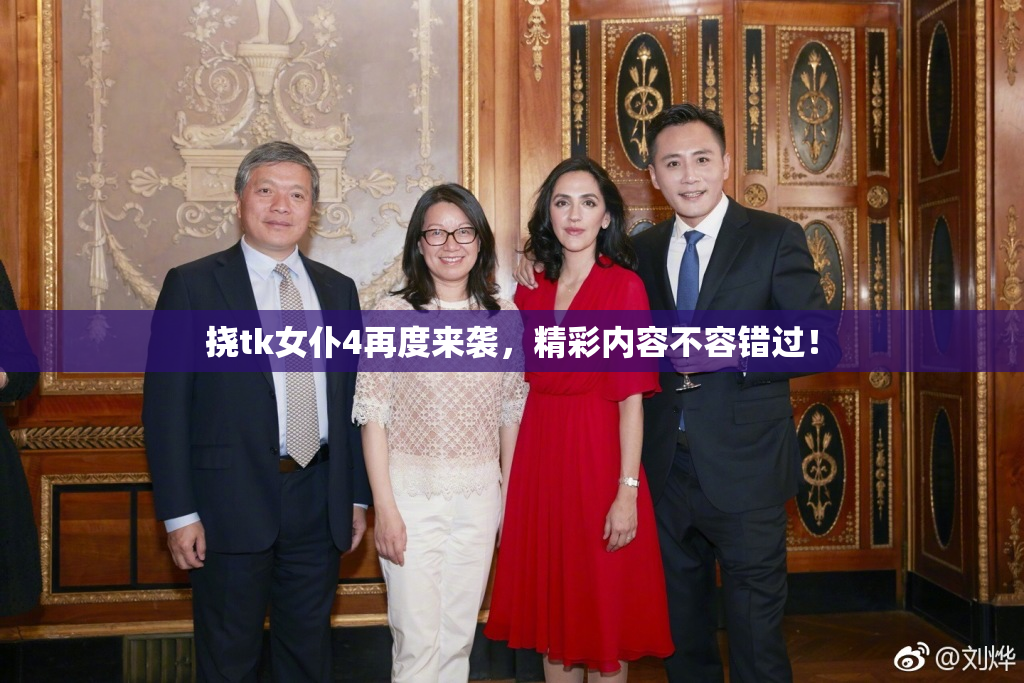 挠tk女仆4再度来袭，精彩内容不容错过！
