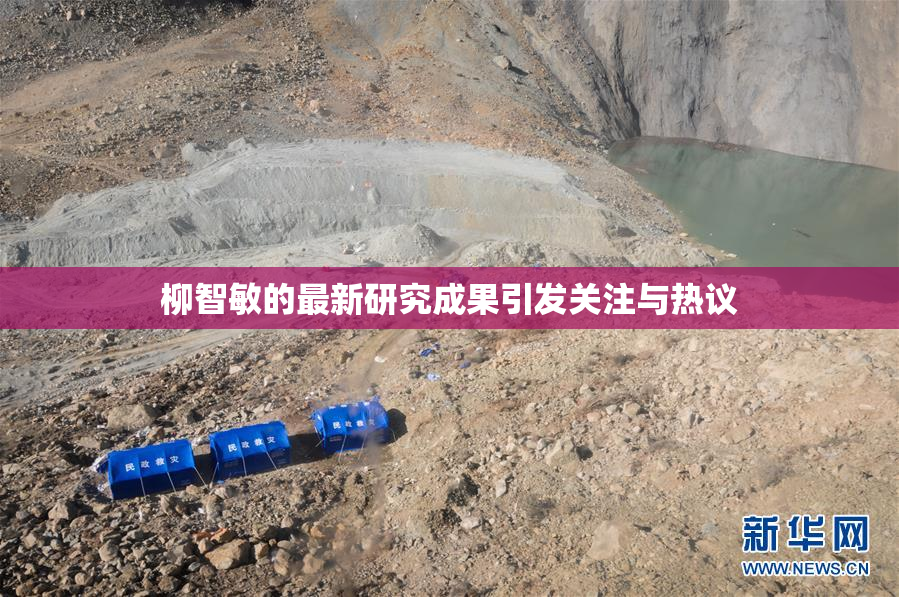柳智敏的最新研究成果引发关注与热议