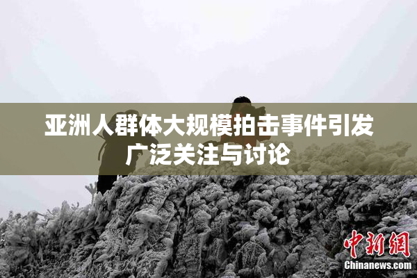 亚洲人群体大规模拍击事件引发广泛关注与讨论