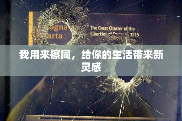 我用来擦同，给你的生活带来新灵感