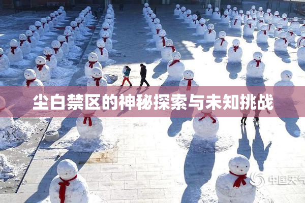 尘白禁区的神秘探索与未知挑战