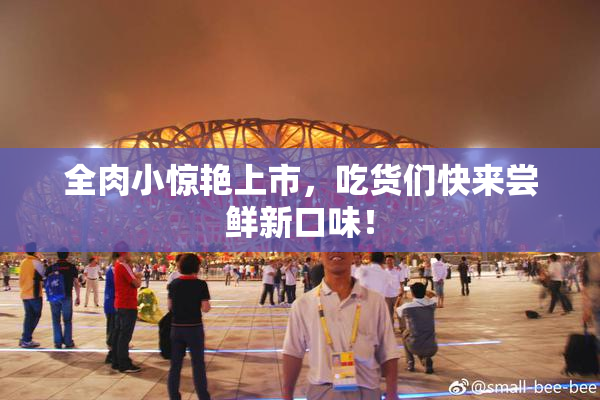 全肉小惊艳上市，吃货们快来尝鲜新口味！