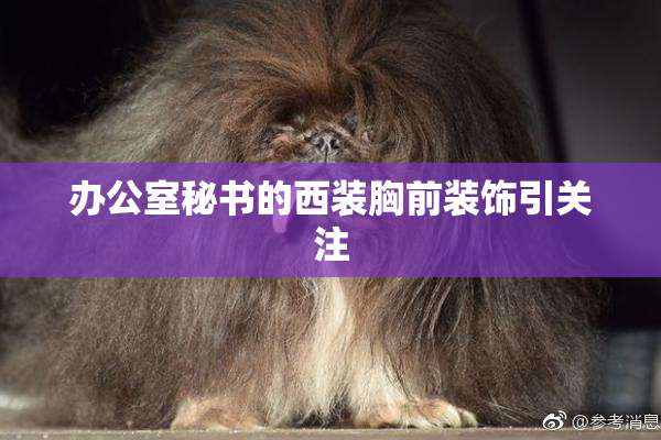办公室秘书的西装胸前装饰引关注