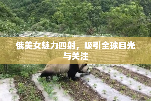俄美女魅力四射，吸引全球目光与关注