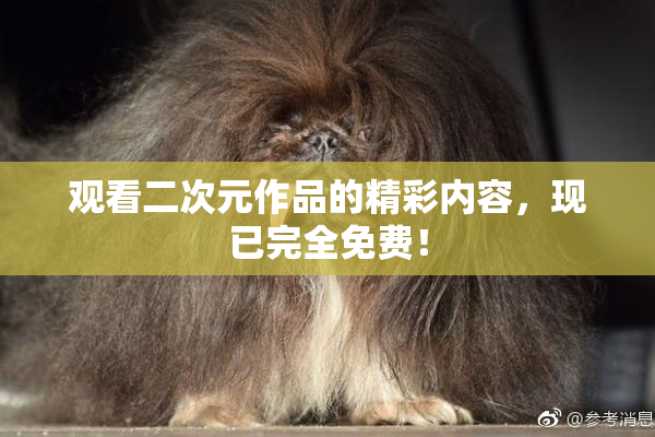 观看二次元作品的精彩内容，现已完全免费！