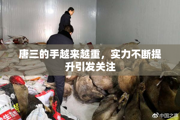 唐三的手越来越重，实力不断提升引发关注