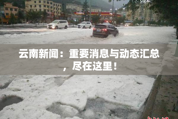云南新闻：重要消息与动态汇总，尽在这里！