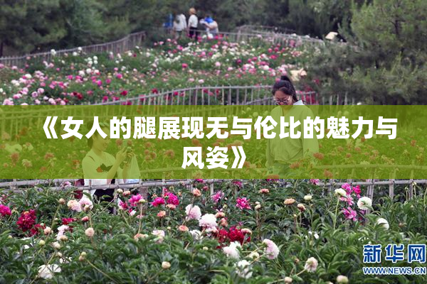 《女人的腿展现无与伦比的魅力与风姿》