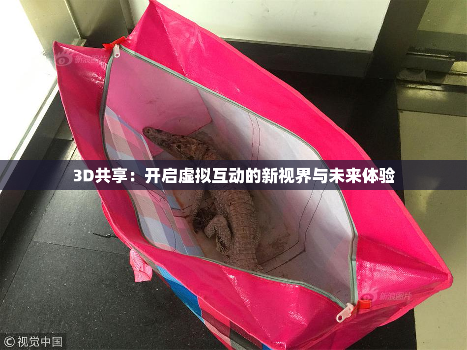 3D共享：开启虚拟互动的新视界与未来体验