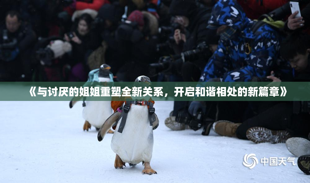 《与讨厌的姐姐重塑全新关系，开启和谐相处的新篇章》