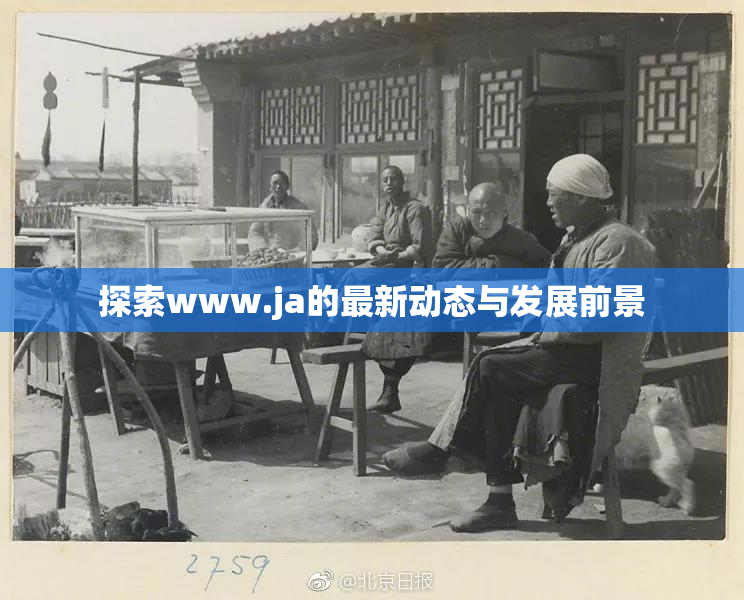 探索www.ja的最新动态与发展前景