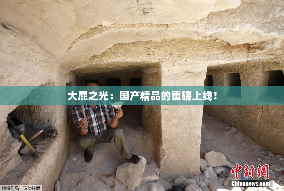 大屁之光：国产精品的重磅上线！
