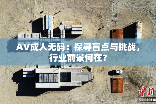 AV成人无码：探寻盲点与挑战，行业前景何在？