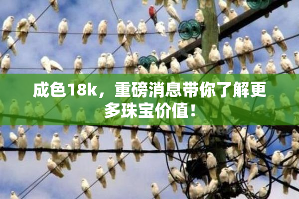 成色18k，重磅消息带你了解更多珠宝价值！