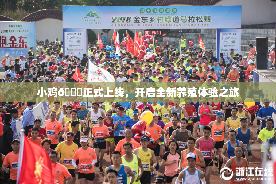小鸡🐔正式上线，开启全新养殖体验之旅