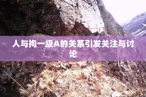 人与拘一级A的关系引发关注与讨论