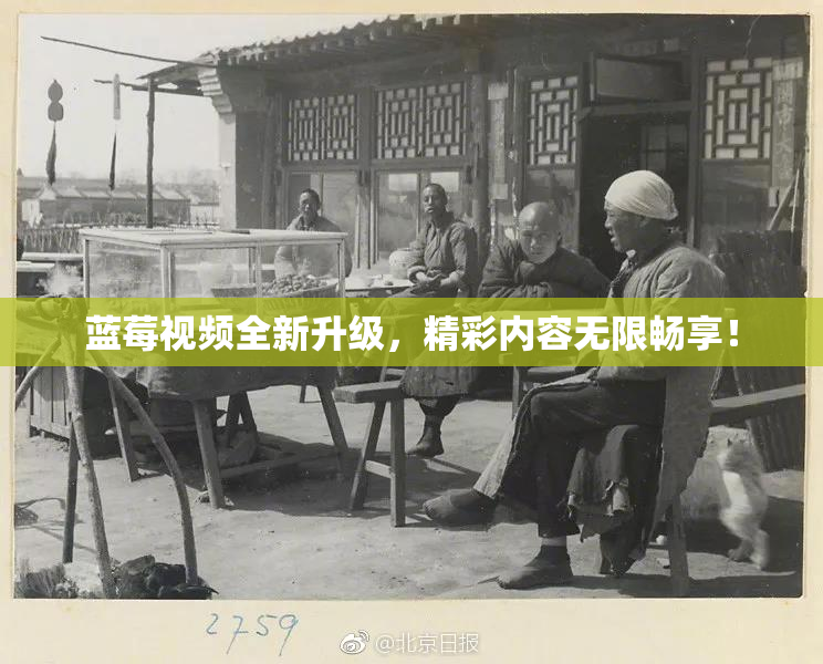 蓝莓视频全新升级，精彩内容无限畅享！