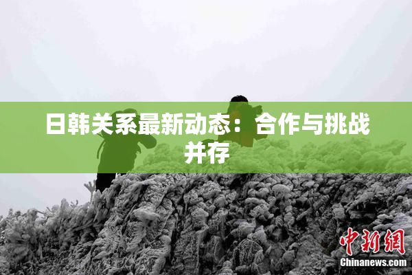 日韩关系最新动态：合作与挑战并存