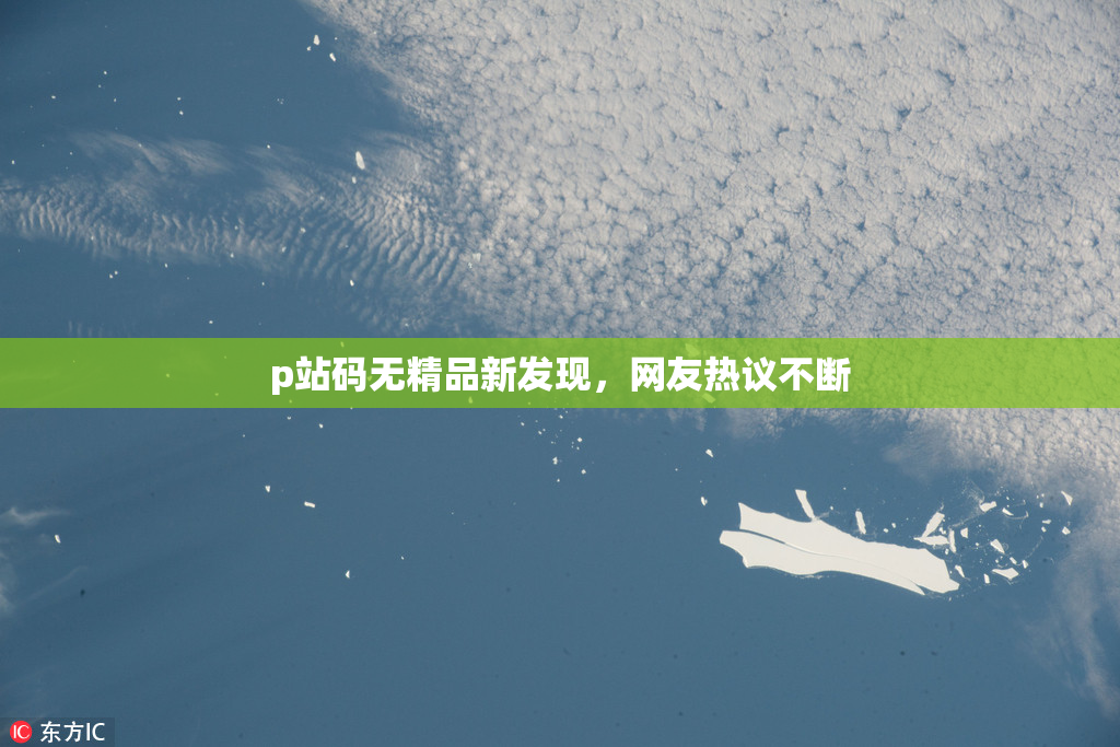 p站码无精品新发现，网友热议不断