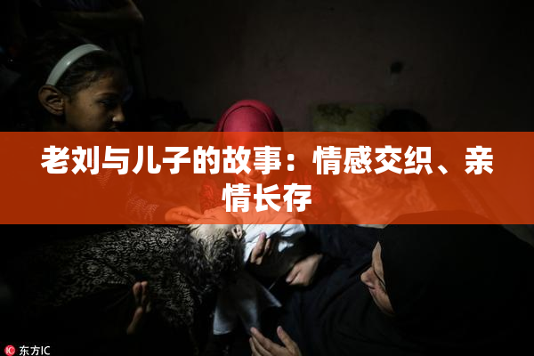 老刘与儿子的故事：情感交织、亲情长存