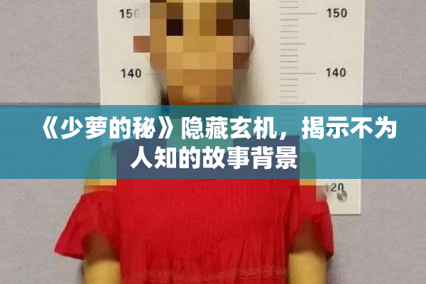 《少萝的秘》隐藏玄机，揭示不为人知的故事背景