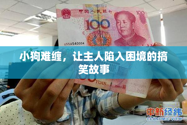 小狗难缠，让主人陷入困境的搞笑故事