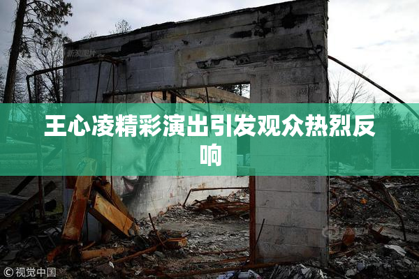 王心凌精彩演出引发观众热烈反响