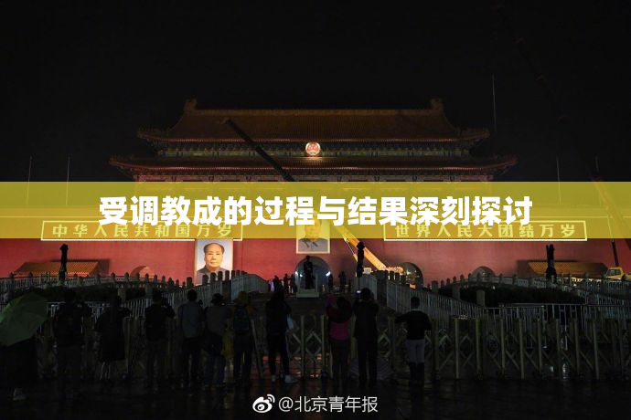 受调教成的过程与结果深刻探讨