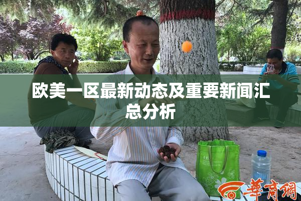 欧美一区最新动态及重要新闻汇总分析