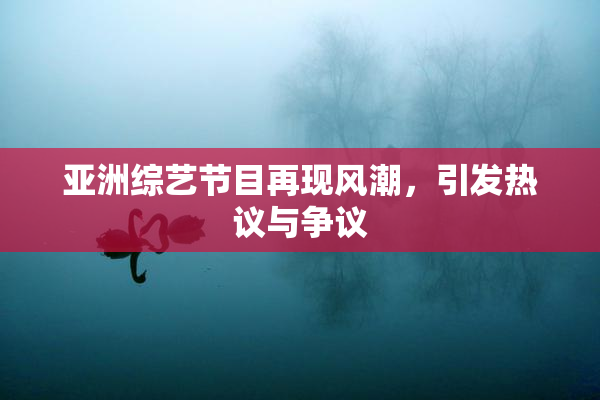 亚洲综艺节目再现风潮，引发热议与争议