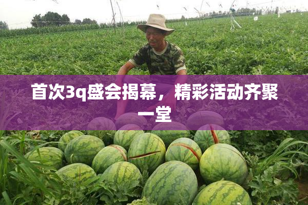 首次3q盛会揭幕，精彩活动齐聚一堂