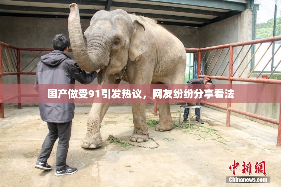 国产做受91引发热议，网友纷纷分享看法