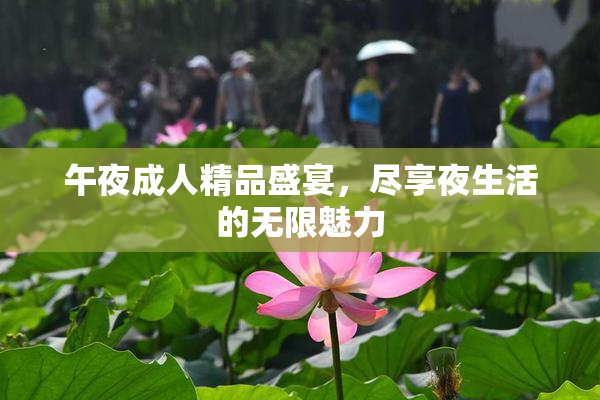 午夜成人精品盛宴，尽享夜生活的无限魅力