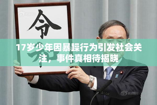 17岁少年因暴躁行为引发社会关注，事件真相待揭晓