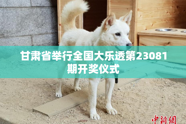 甘肃省举行全国大乐透第23081期开奖仪式