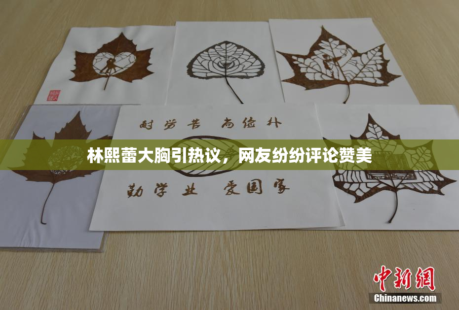 林熙蕾大胸引热议，网友纷纷评论赞美