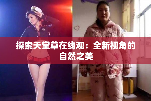 探索天堂草在线观：全新视角的自然之美