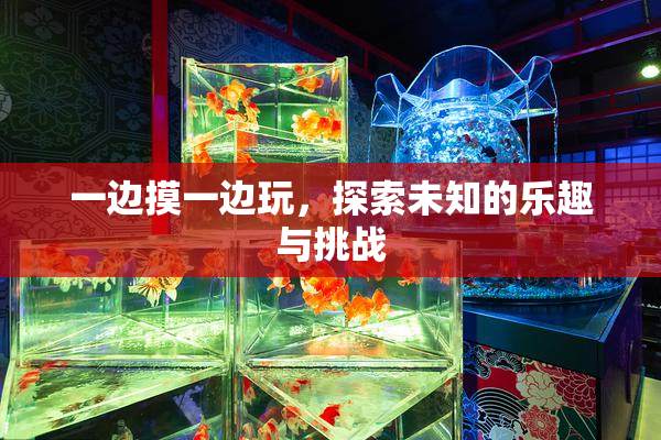 一边摸一边玩，探索未知的乐趣与挑战