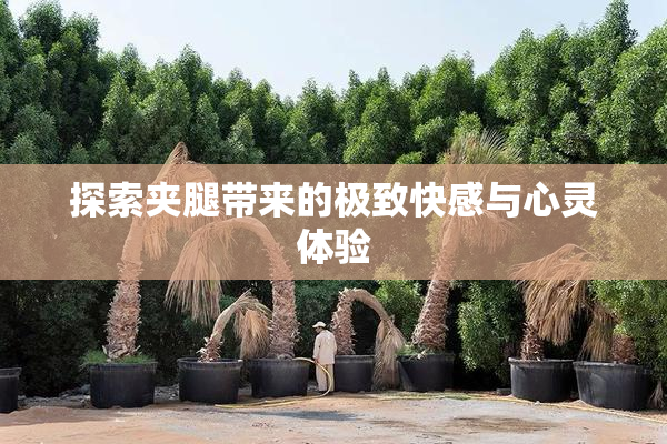 探索夹腿带来的极致快感与心灵体验
