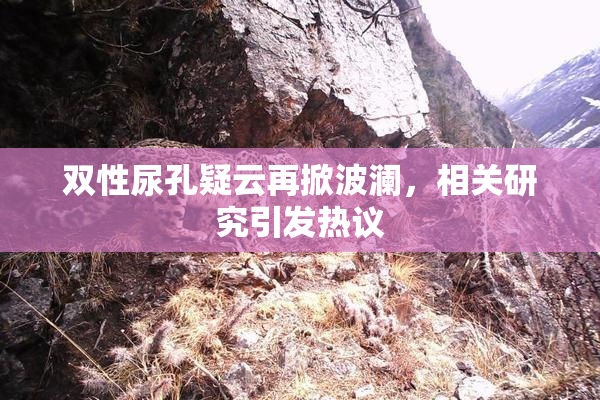 双性尿孔疑云再掀波澜，相关研究引发热议