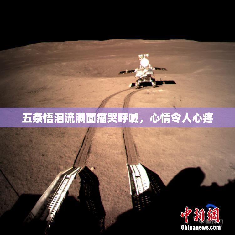 五条悟泪流满面痛哭呼喊，心情令人心疼